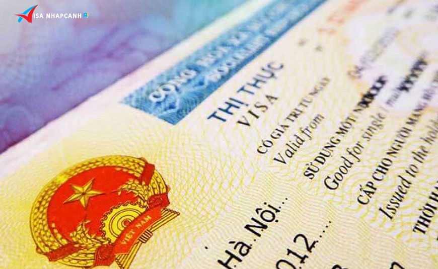 Có bao nhiêu loại visa nhập cảnh Việt Nam dành cho người nước ngoài?