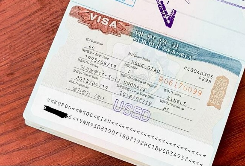 Visa D6 Hàn Quốc là gì