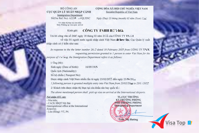 Người Ai Cập có cần visa để nhập cảnh Việt Nam hay không? 1