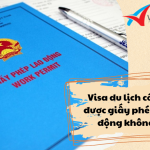 Xin visa du lịch có xin được giấy phép lao động không?