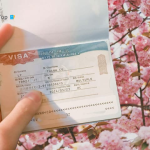 Quy định về giấy xác nhận việt làm khi xin visa Hàn Quốc