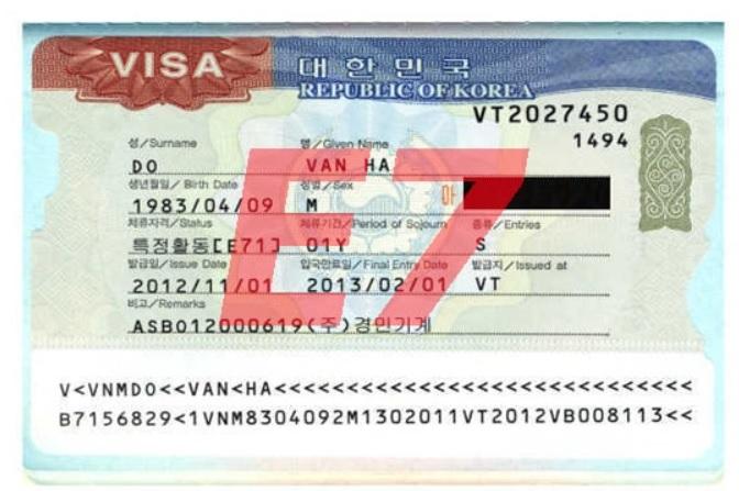 Visa E7 Hàn Quốc là gì? Những điều bạn cần biết về visa E7 Hàn Quốc